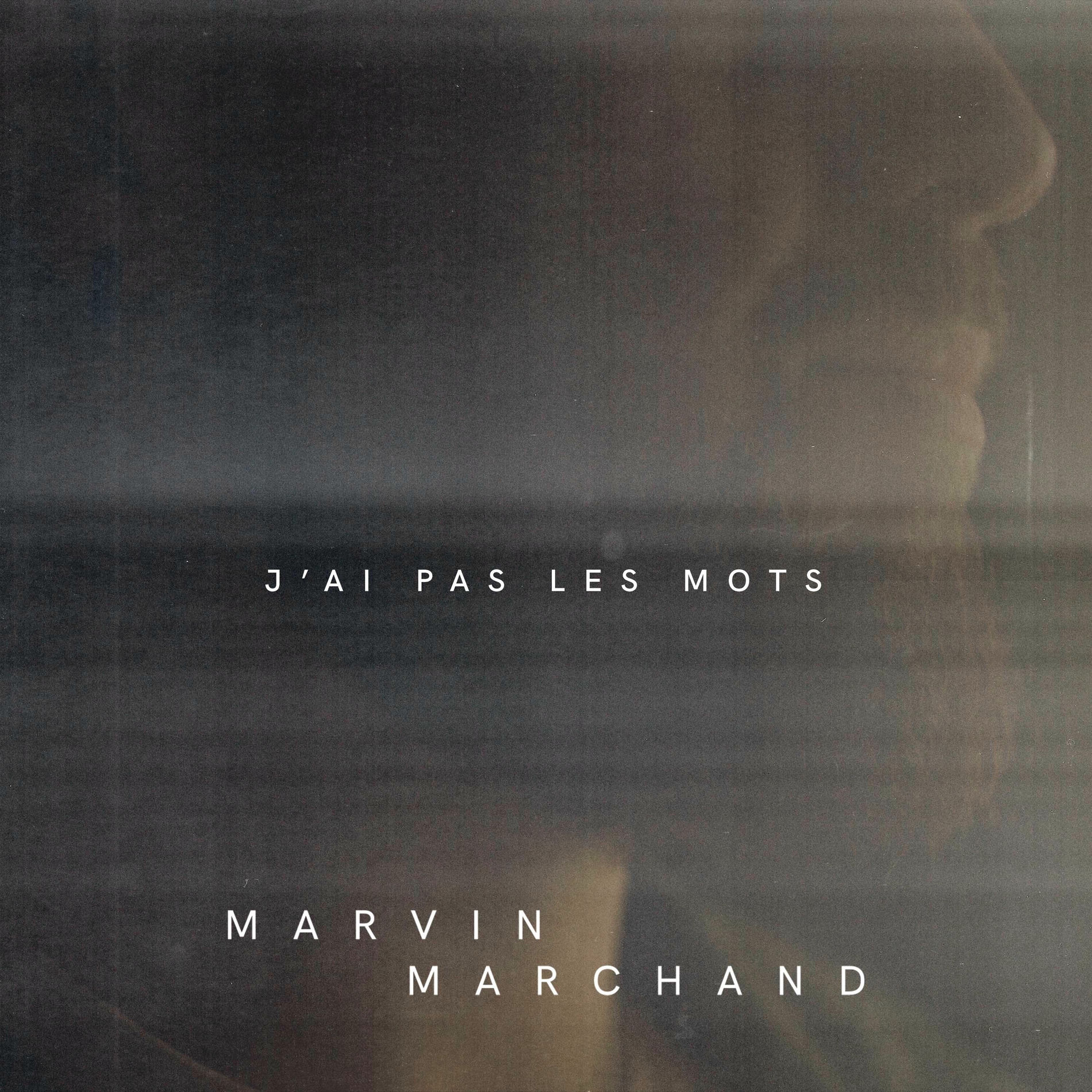 Album cover of J'ai pas les mots