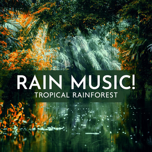 Rain Music! - Rain Music! Tropical Rainforest – Wild Nature Music