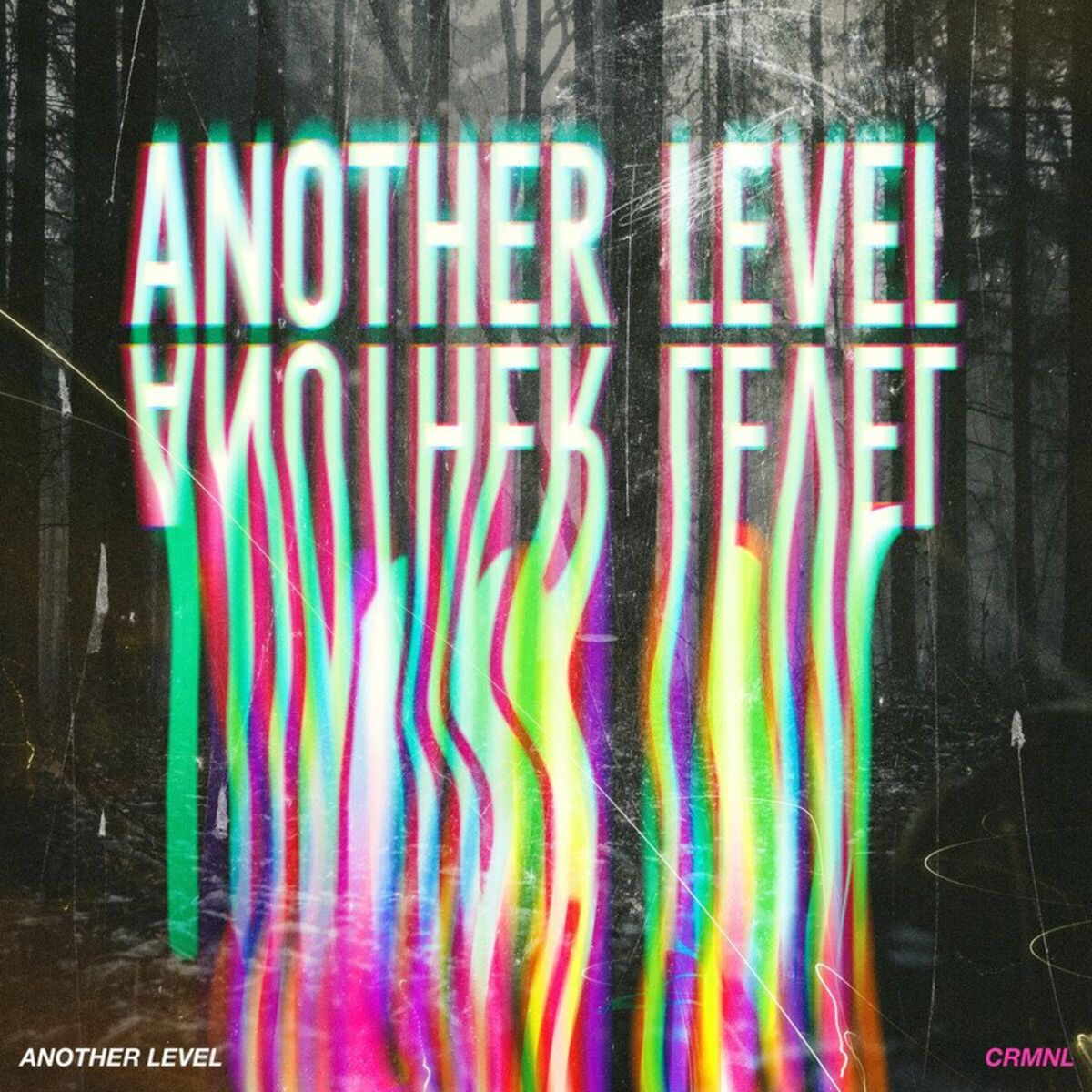 Album cover of Another Level