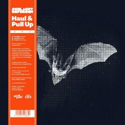 Cover of Haul & Pull up, Vol. 2