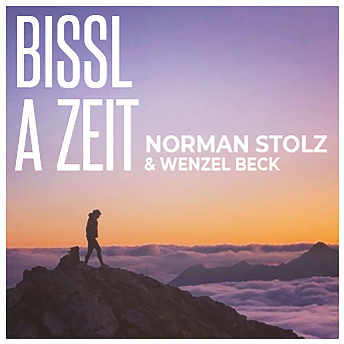 Album cover of Bissl a Zeit