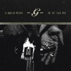 Cover of The Lost Flash Drive