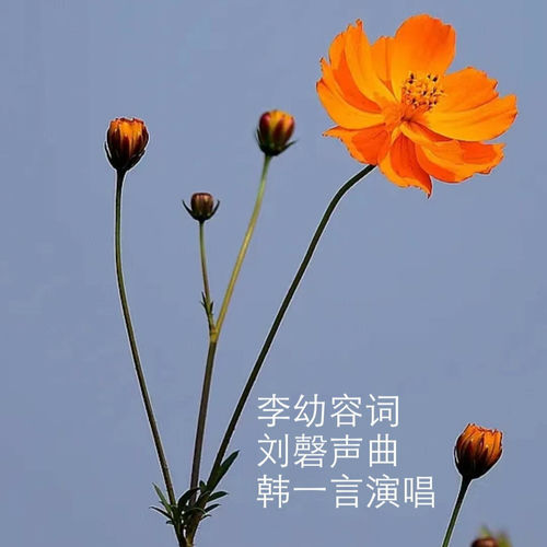 我们和祖国最亲亲