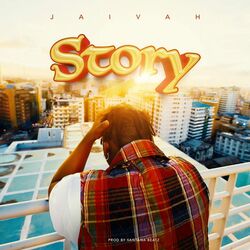 Cover of Story