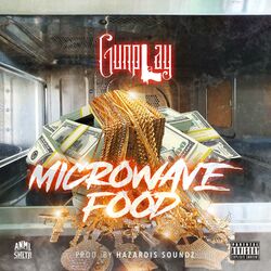 Cover of MICROWAVE FOOD (feat. Hazardis Soundz)