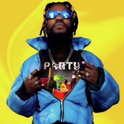 Cover of Party