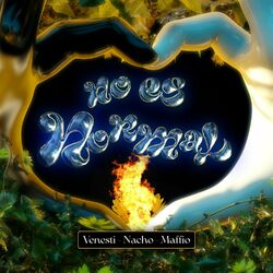Cover of No Es Normal