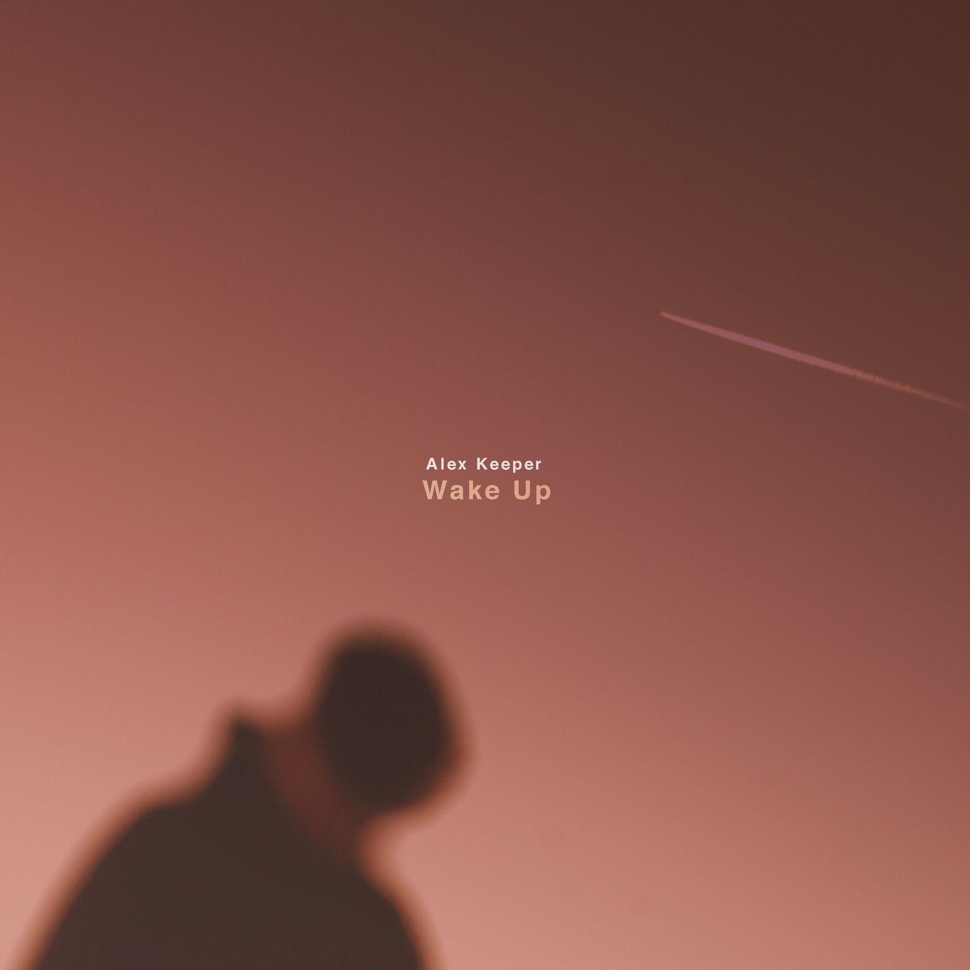 Album cover of Wake Up