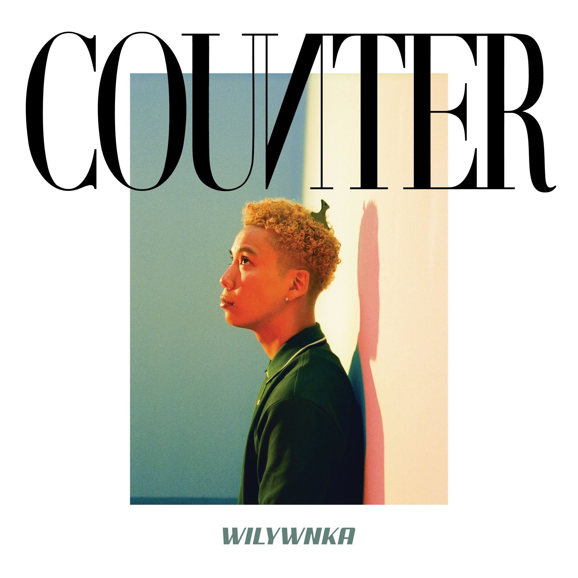 Album cover of COUNTER