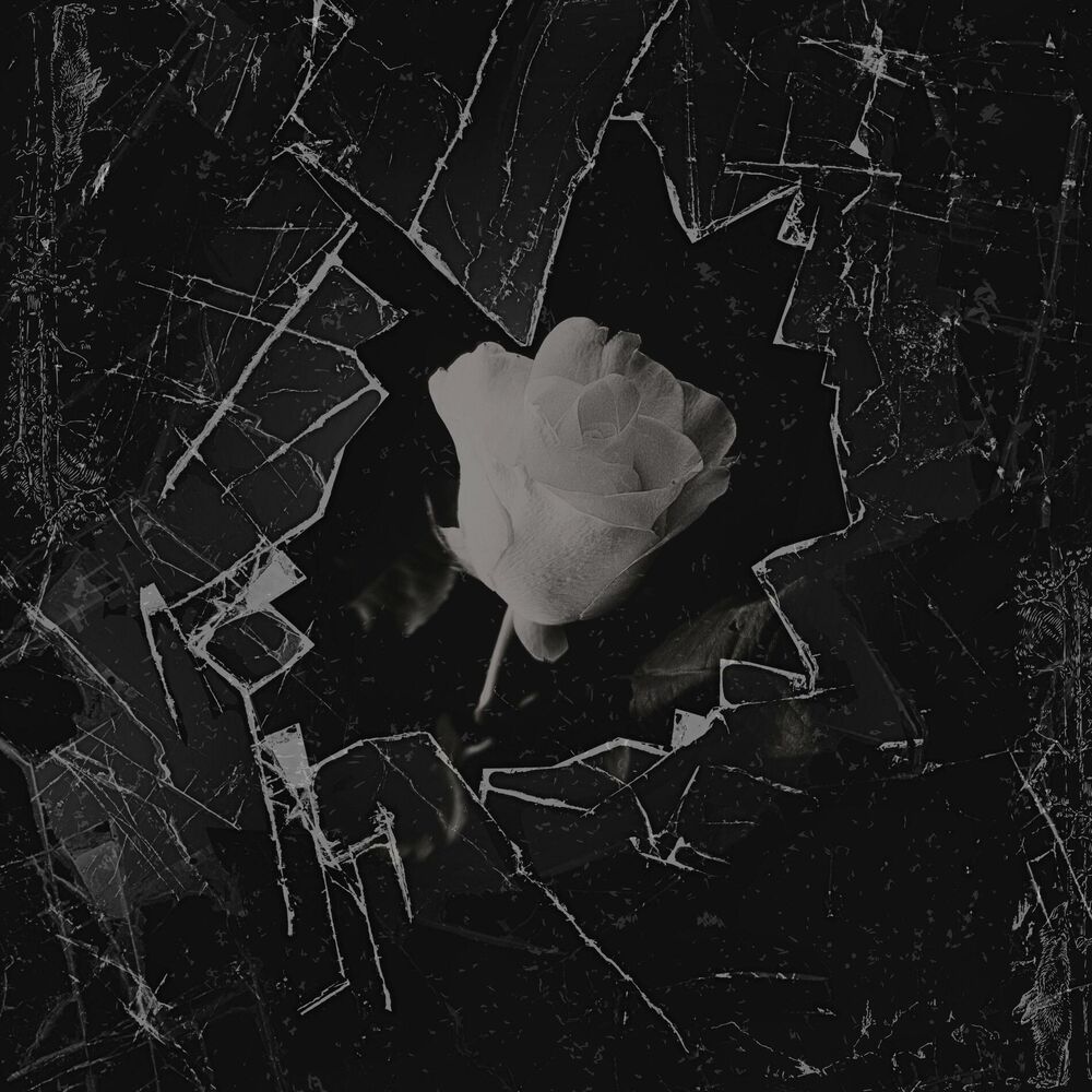 Picture of VARIANT RUBIX
