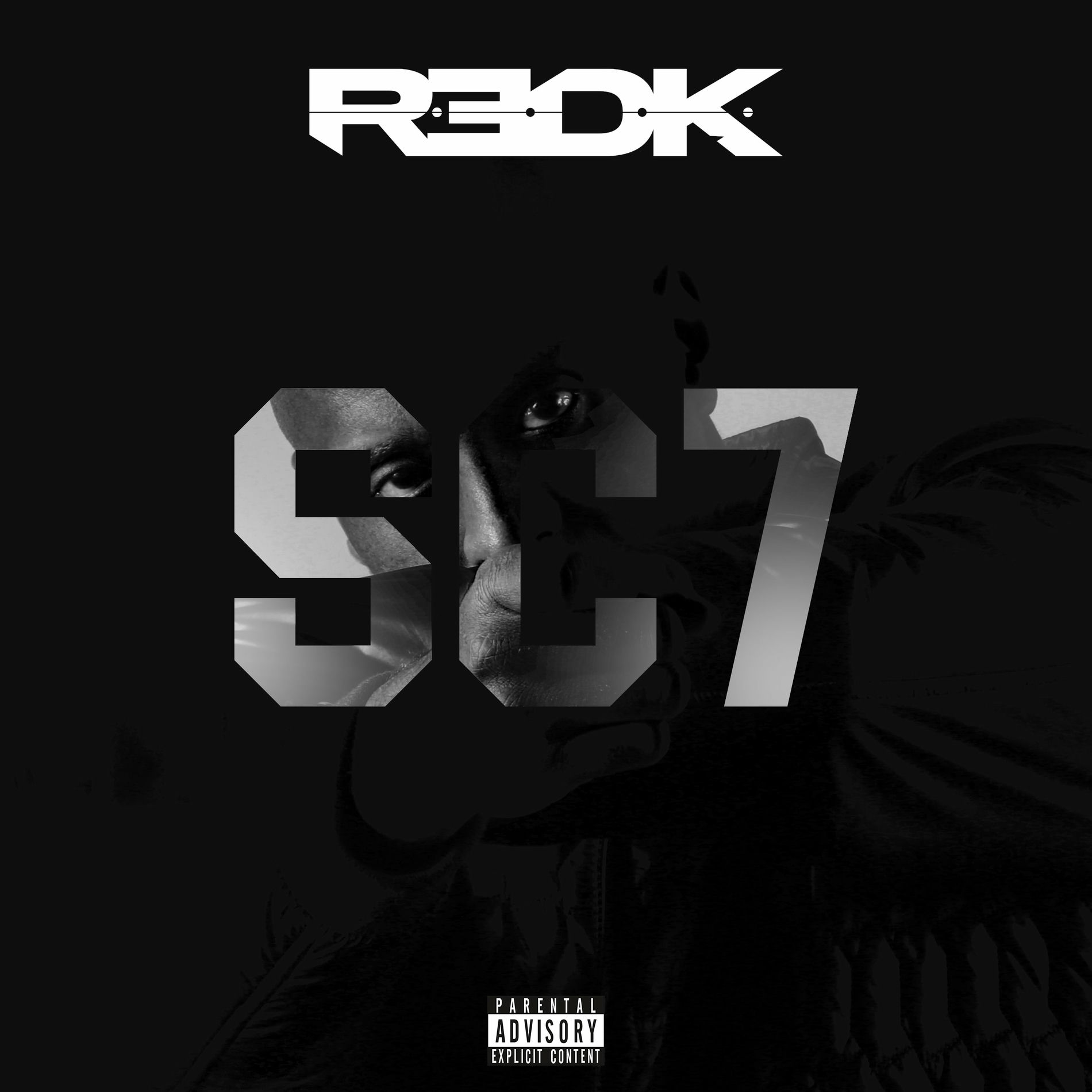 Album cover of Simple constat 7