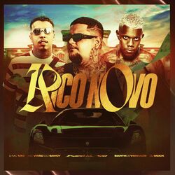 Cover of Rico Novo