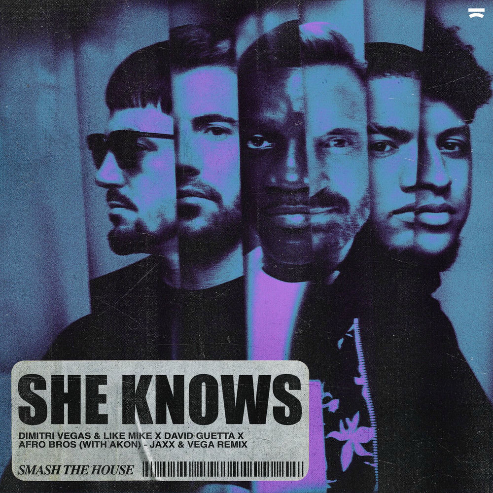 She Knows (with Akon) (Jaxx & Vega Remix) cover