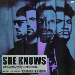 Cover of She Knows (with Akon) (Jaxx & Vega Remix)