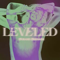Cover of Leveled (Radio Edit)