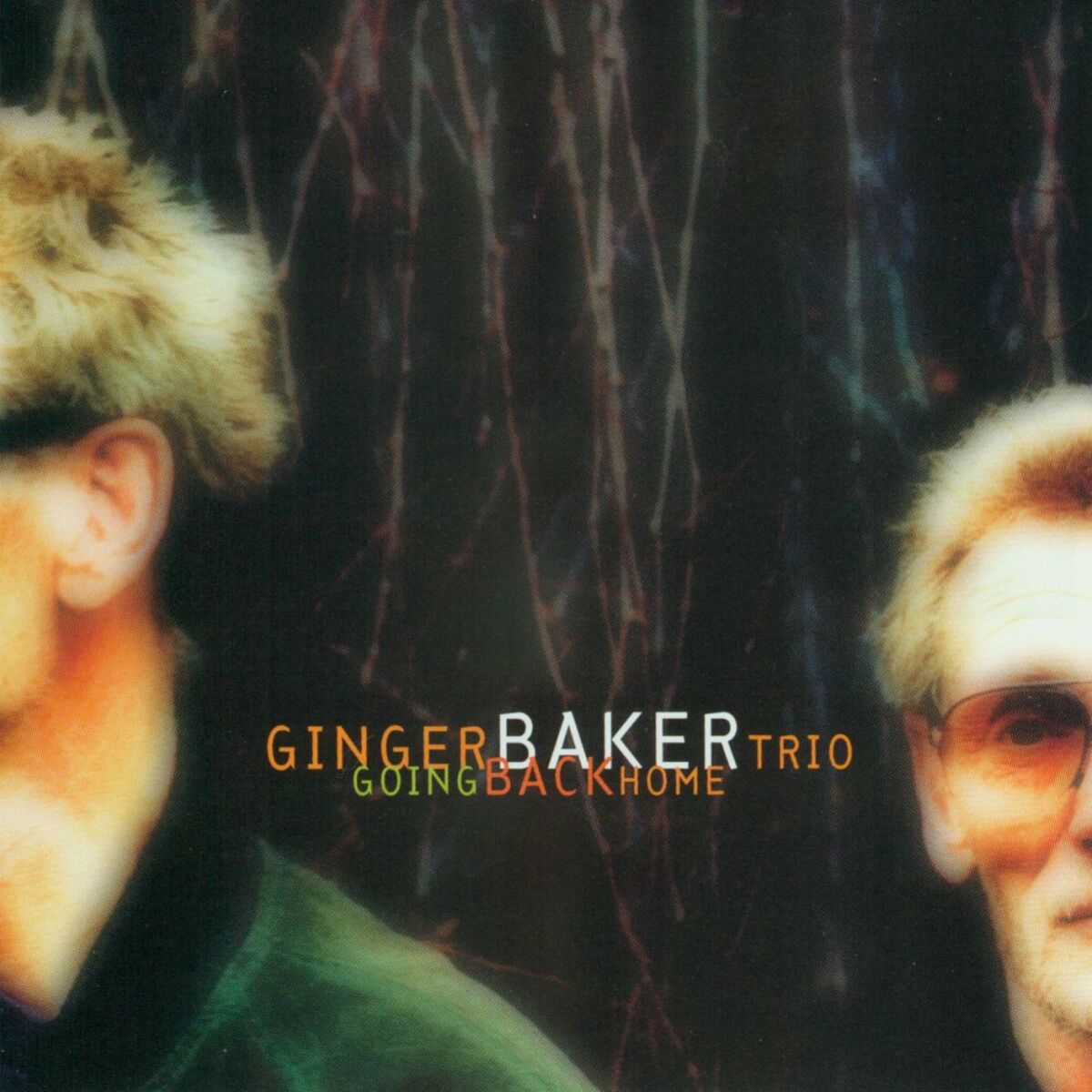 Album cover of Going Back Home