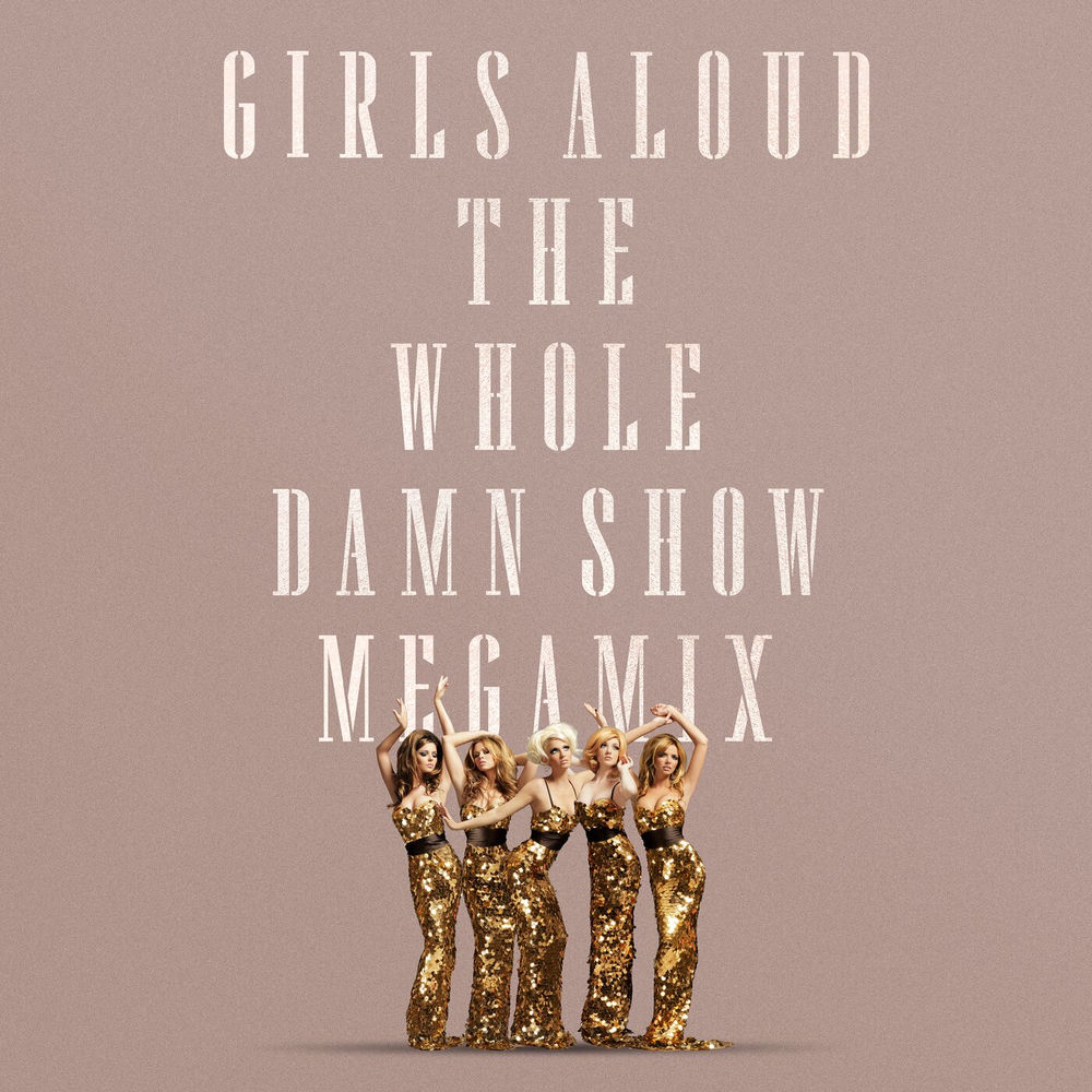 The Whole Damn Show Megamix album cover