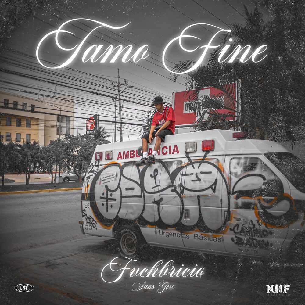 Picture of Tamo Fine