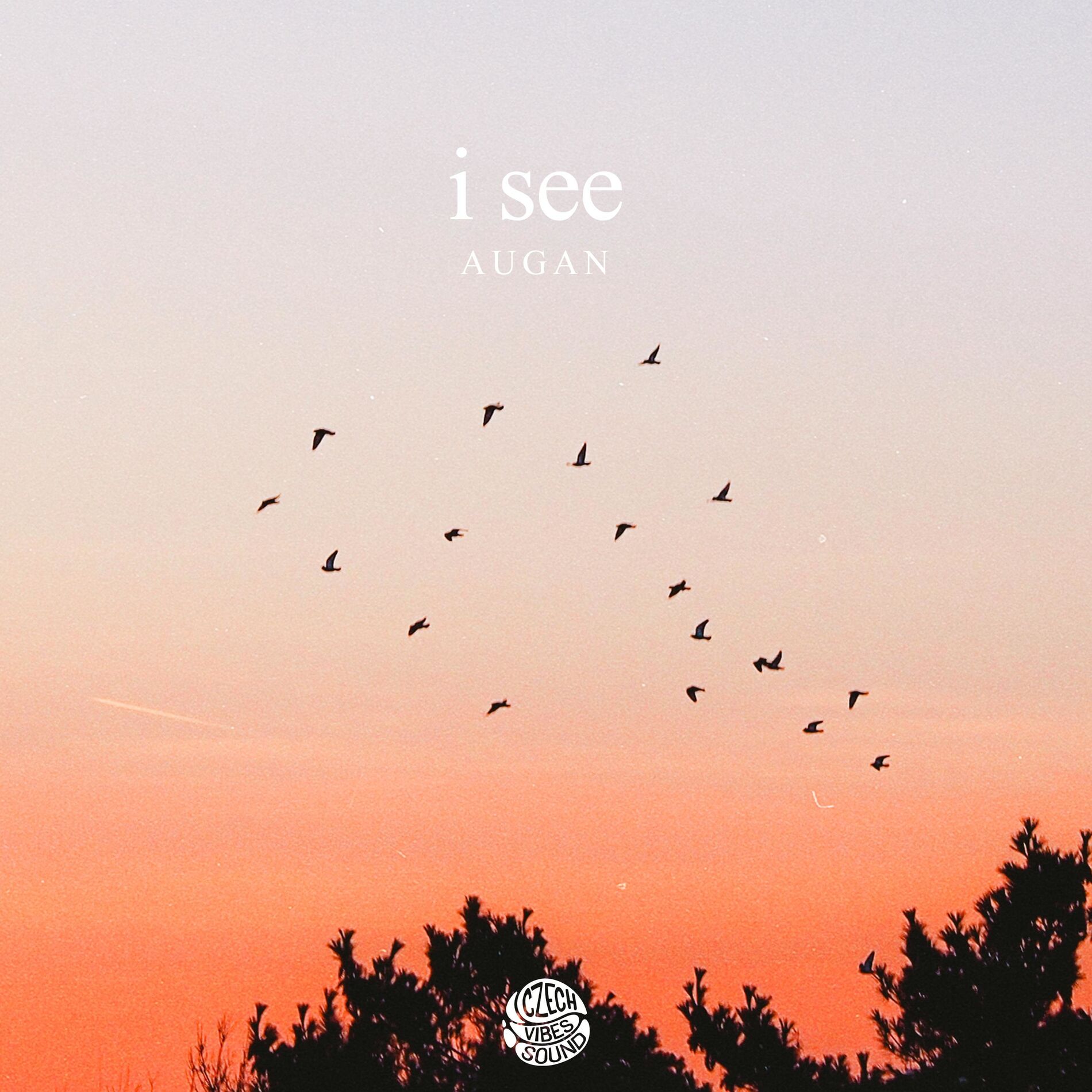 Album cover of I see
