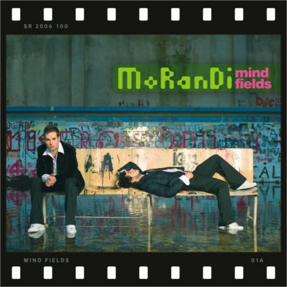 Picture of Mindfields