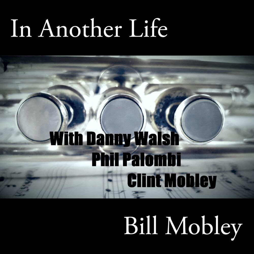 Picture of In Another Life (feat. Danny Walsh, Phil Palombi & Clint Mobley)