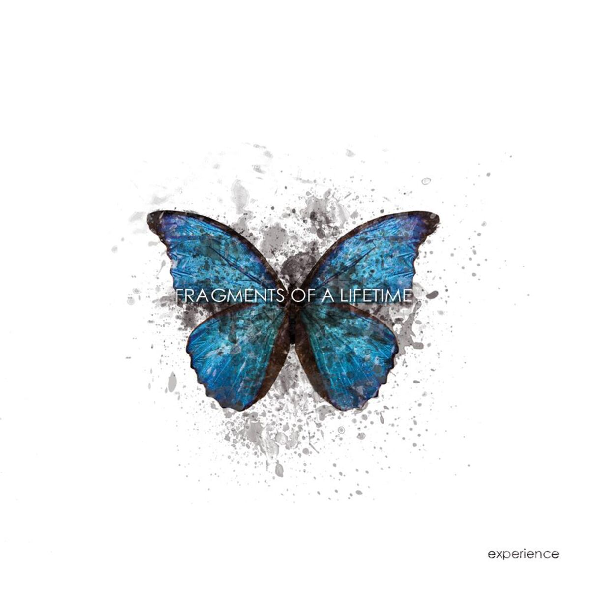 Album cover of Fragments of a Lifetime