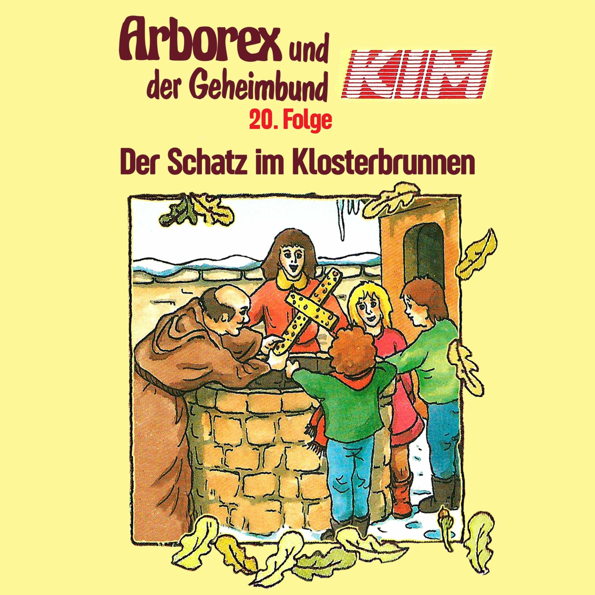 Album cover of 20: Der Schatz im Klosterbrunnen