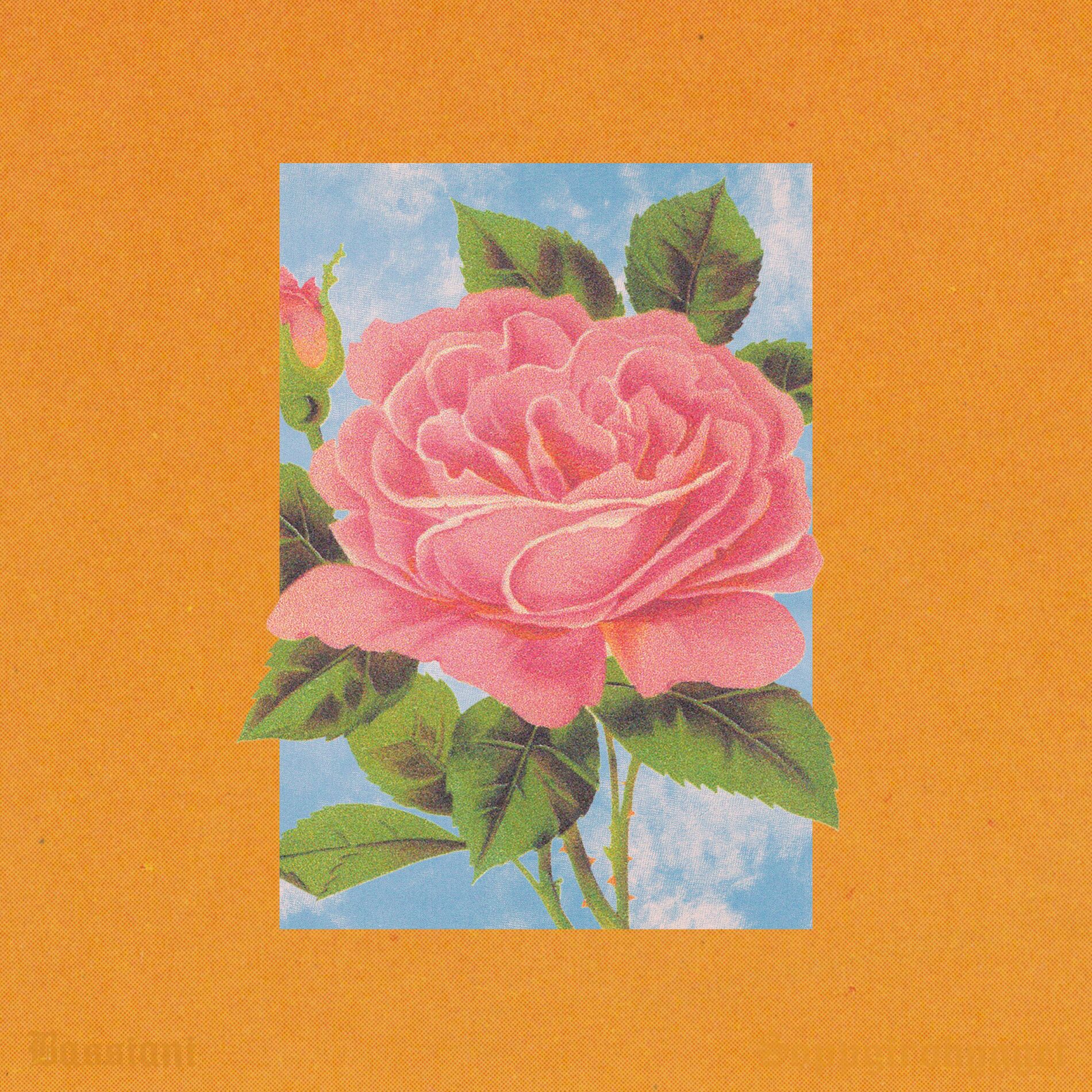 Album cover of BASSIANI