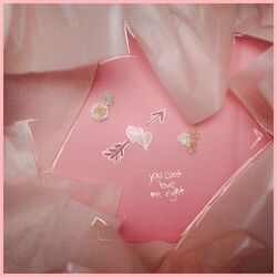 Cover of Can't Love Me Right