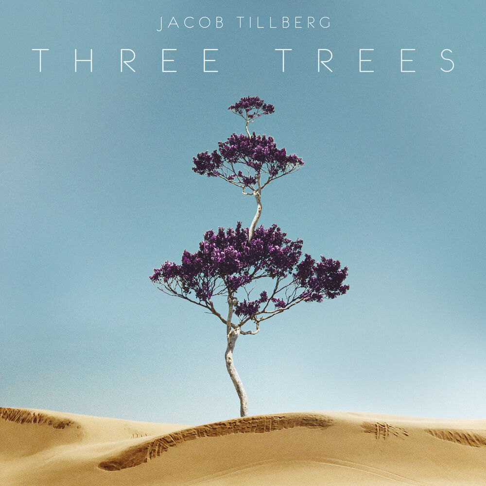 Picture of Three Trees