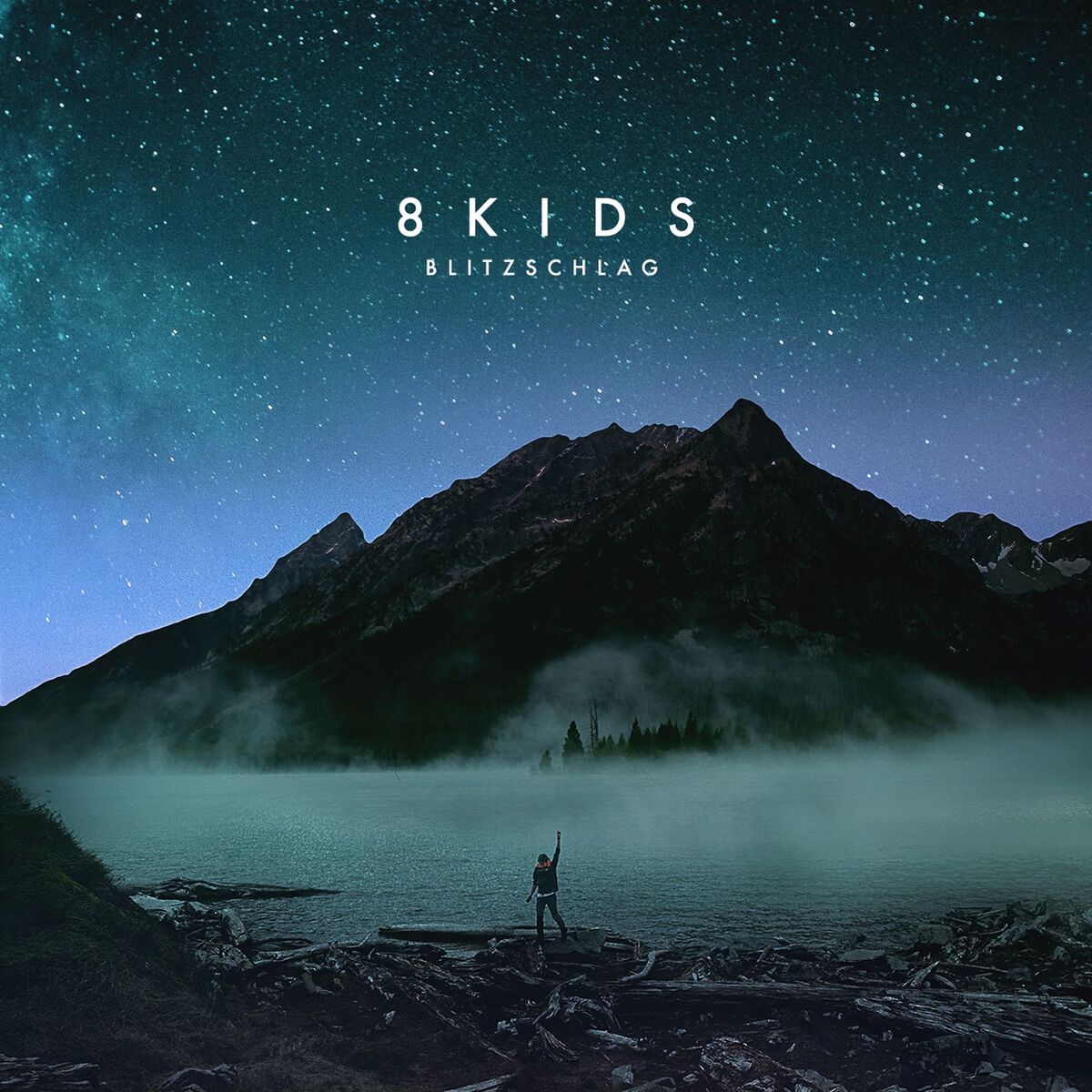 Album cover of Blitzschlag