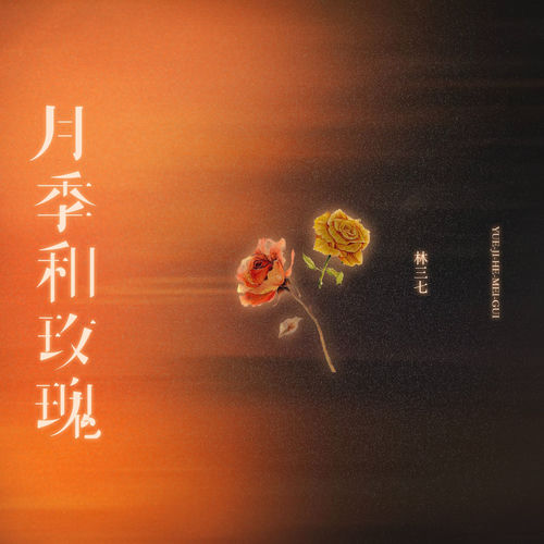 月季和玫瑰