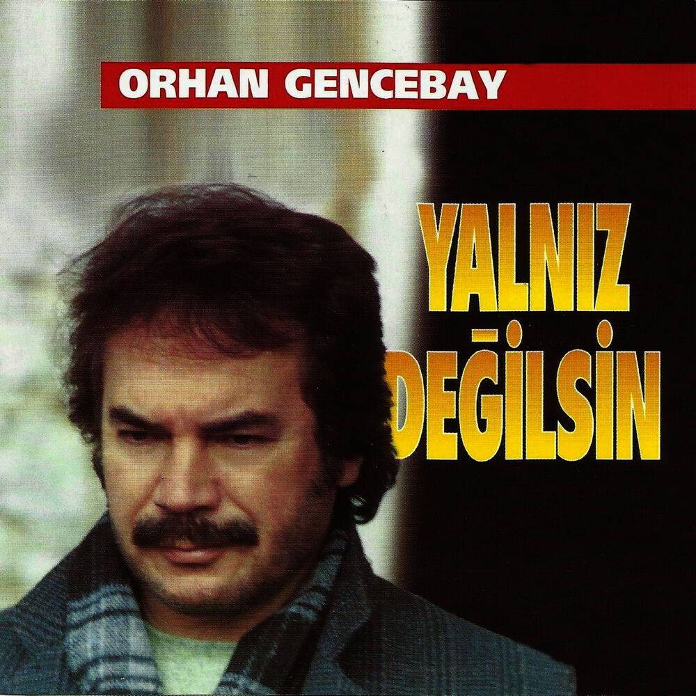 Picture of Yalnız Değilsin
