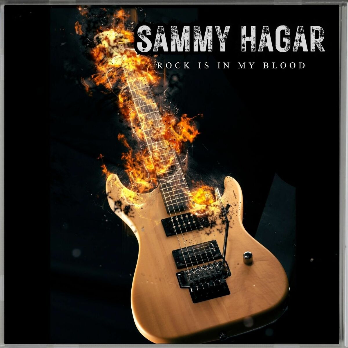 Album cover of Rock Is In My Blood