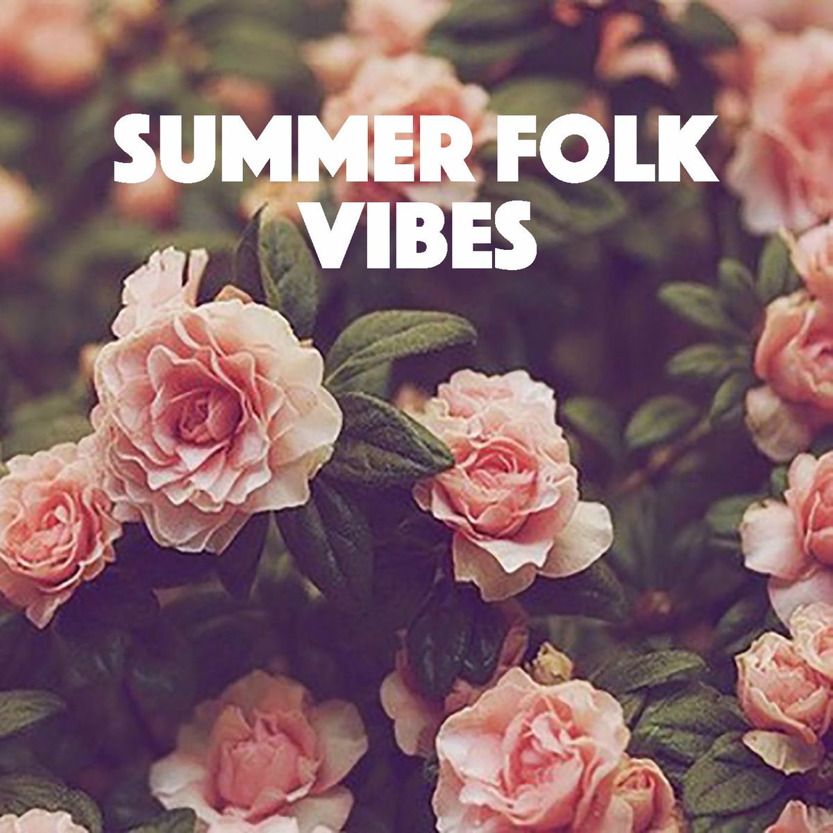 Album cover of Summer Folk Vibes