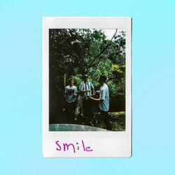 Cover of Smile
