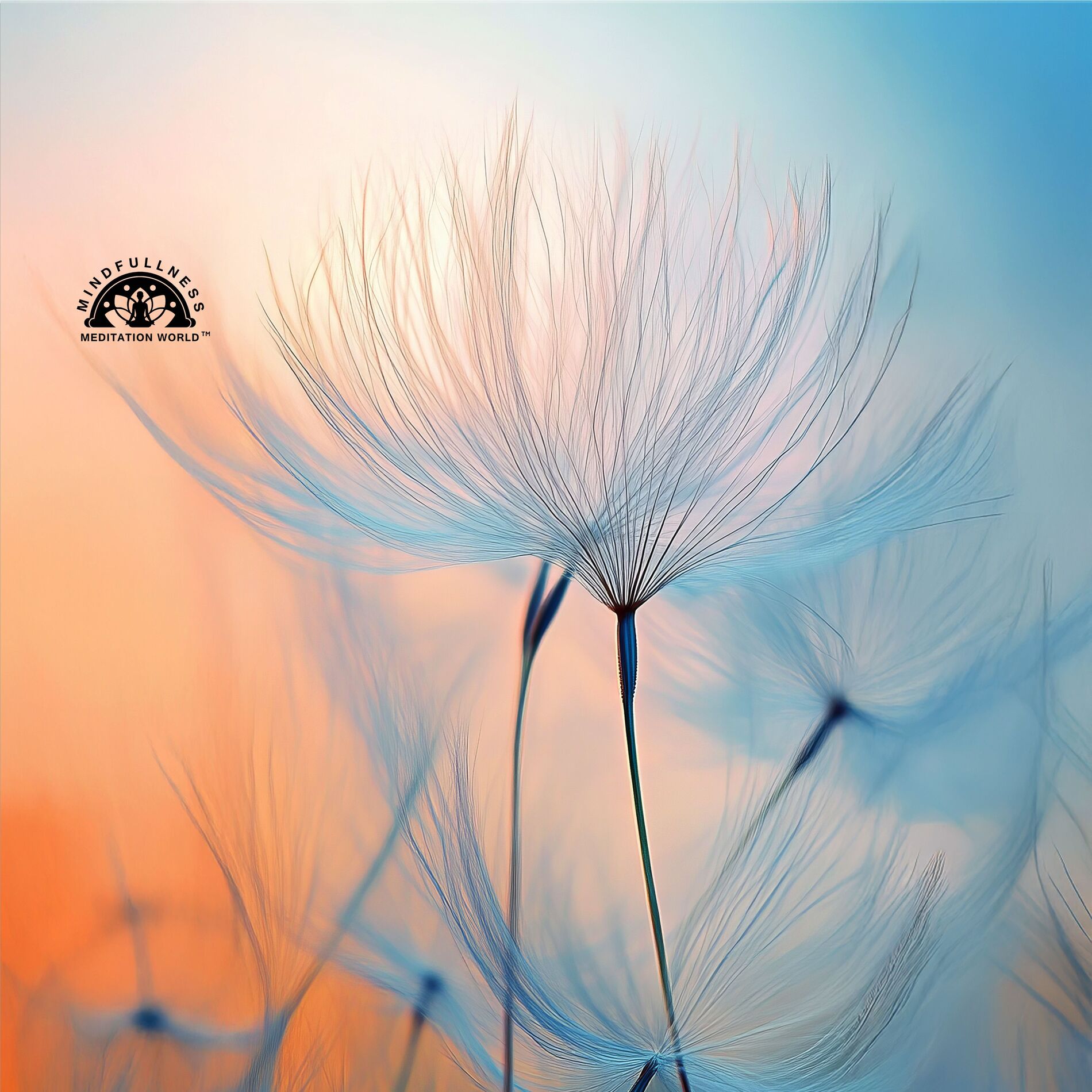 Album cover of Reconnect with Yourself