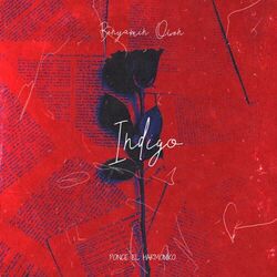 Cover of Indigo