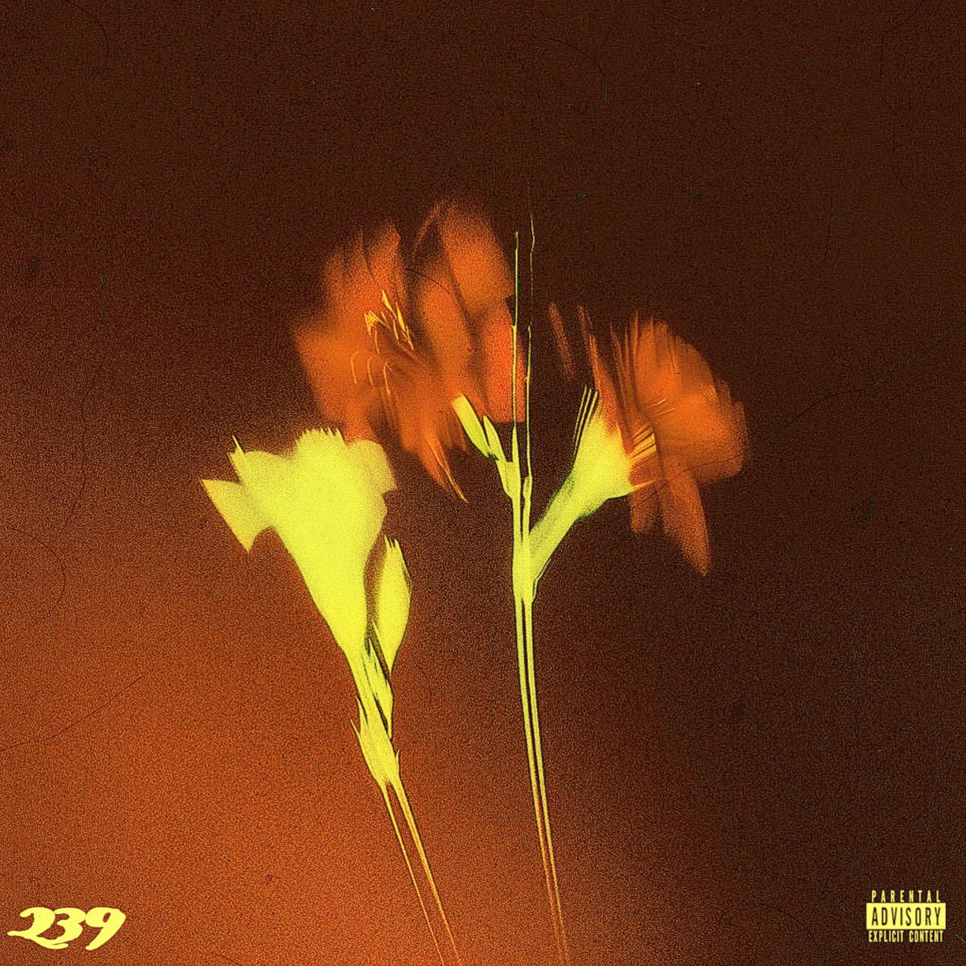 Album cover of 239