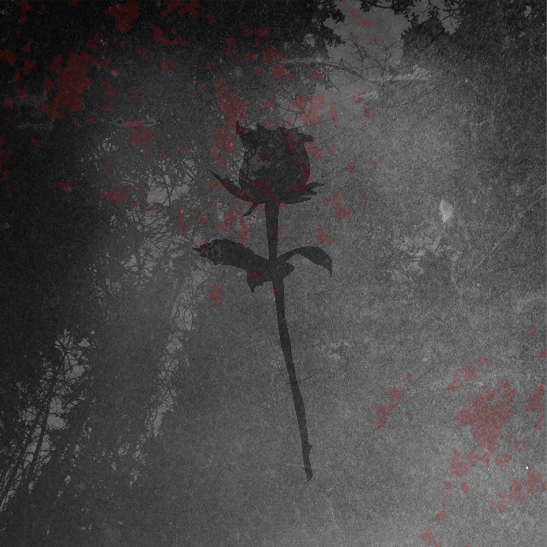 Album cover of all my fault