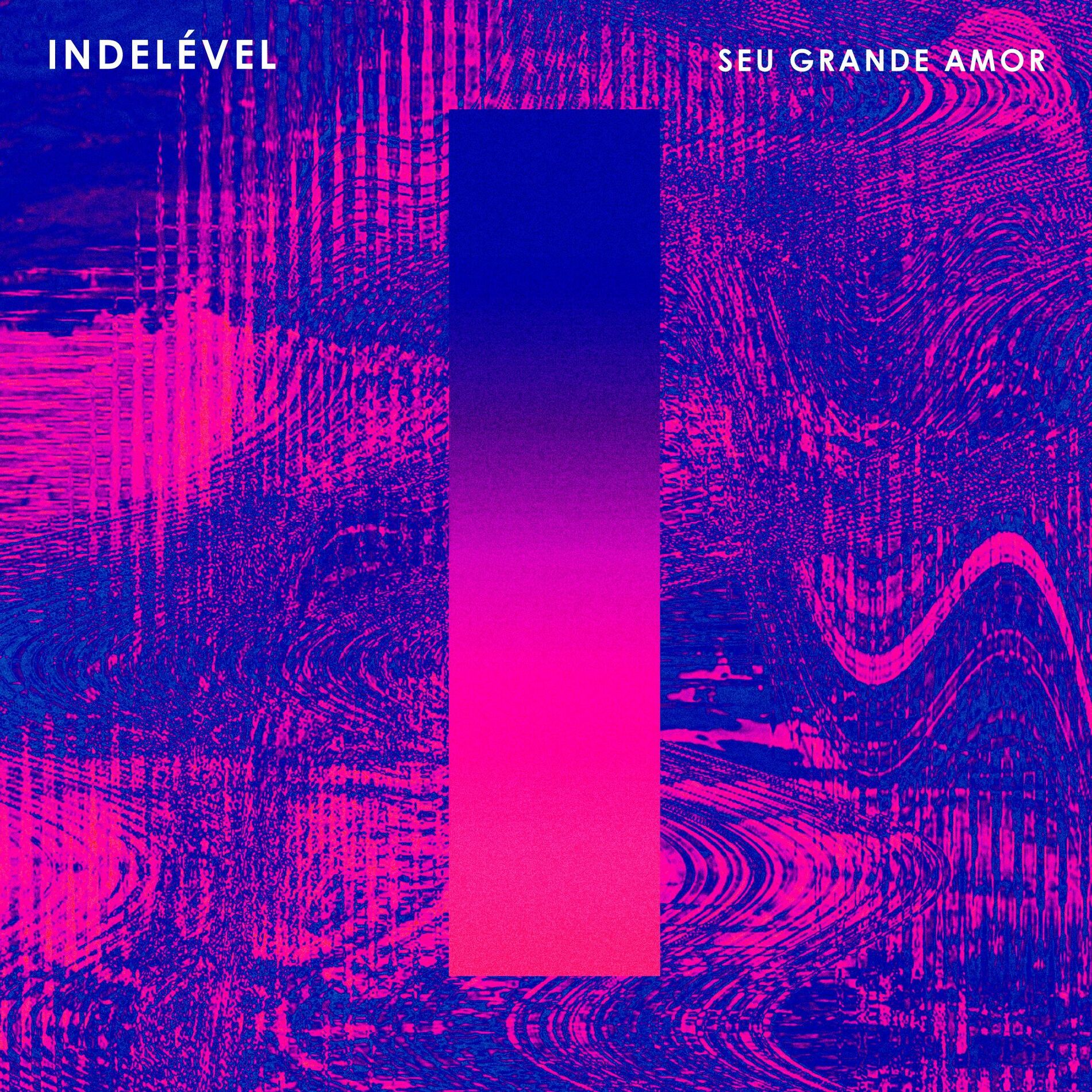 Album cover of Seu Grande Amor