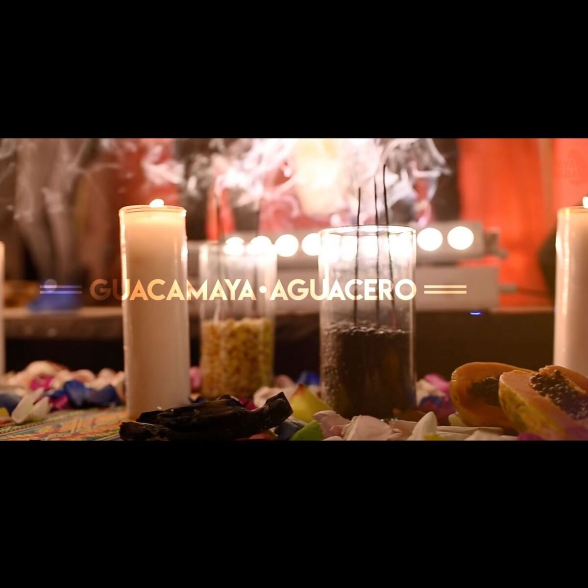 Album cover of Guacamaya - Aguacero