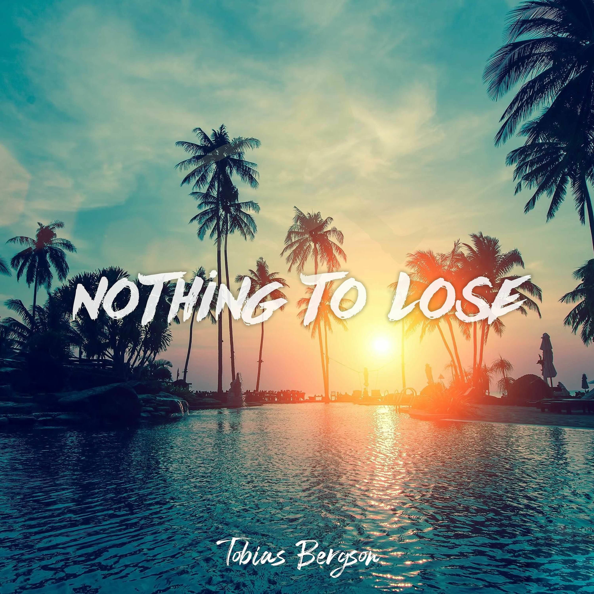 Album cover of Nothing To Lose