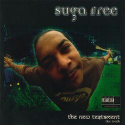 Cover of The New Testament
