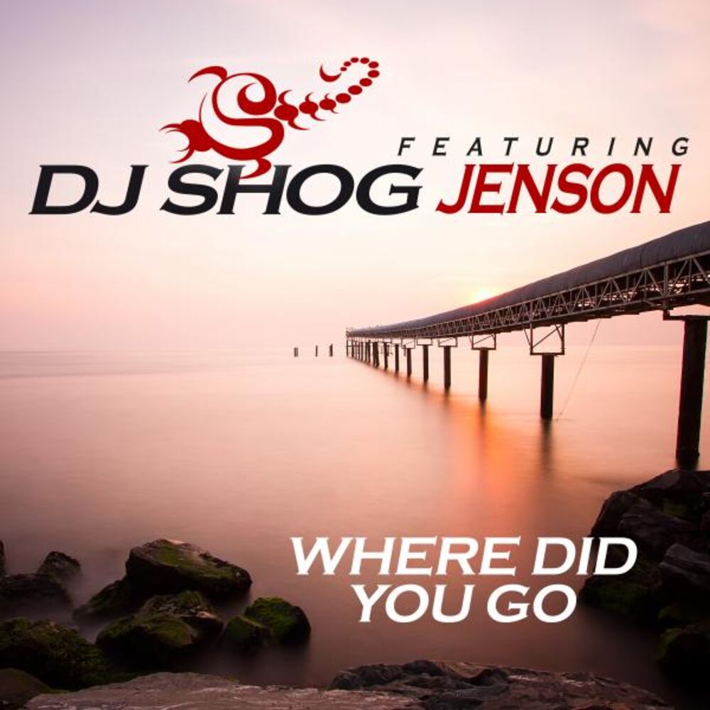 Picture of Where Did You Go