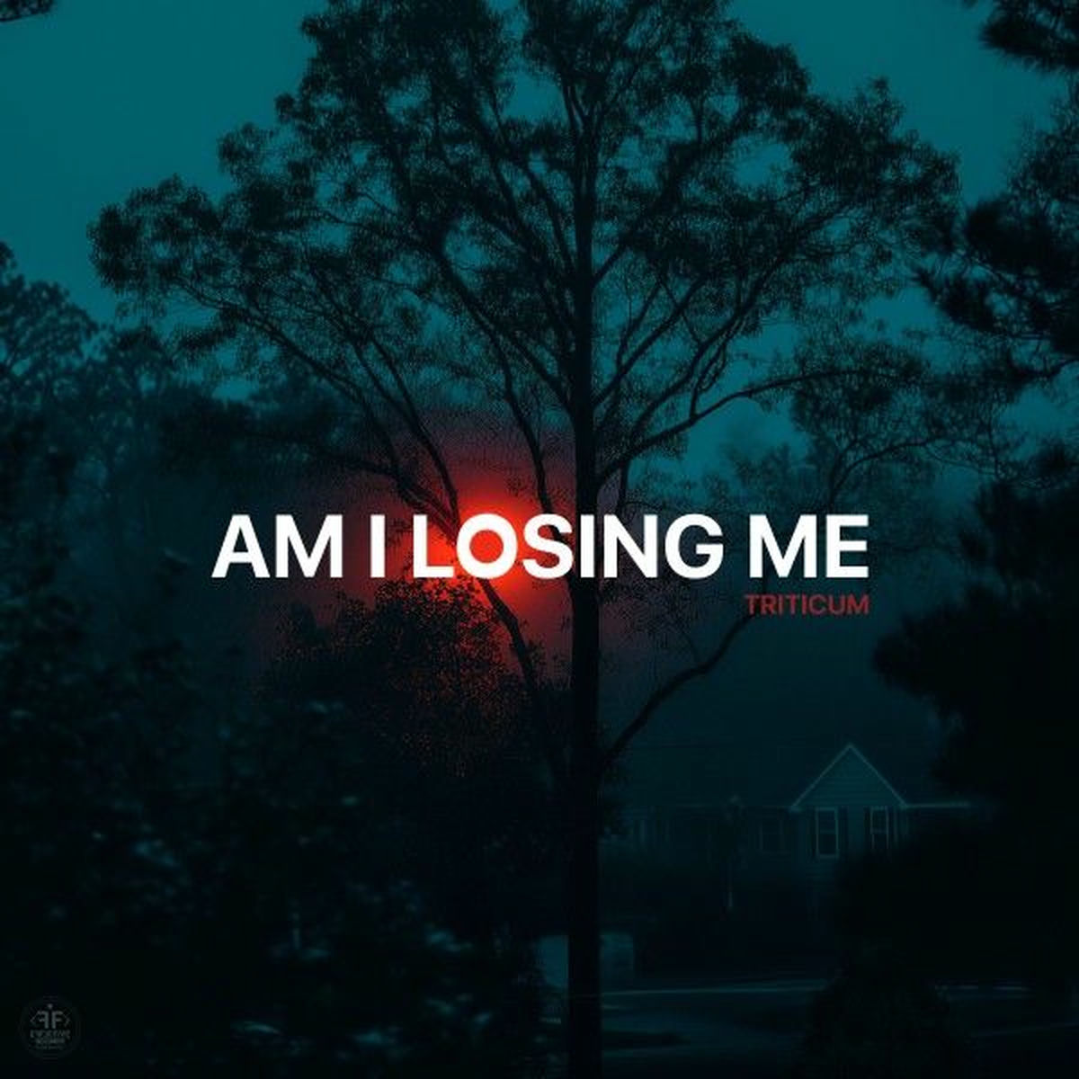 Album cover of Am I Losing Me