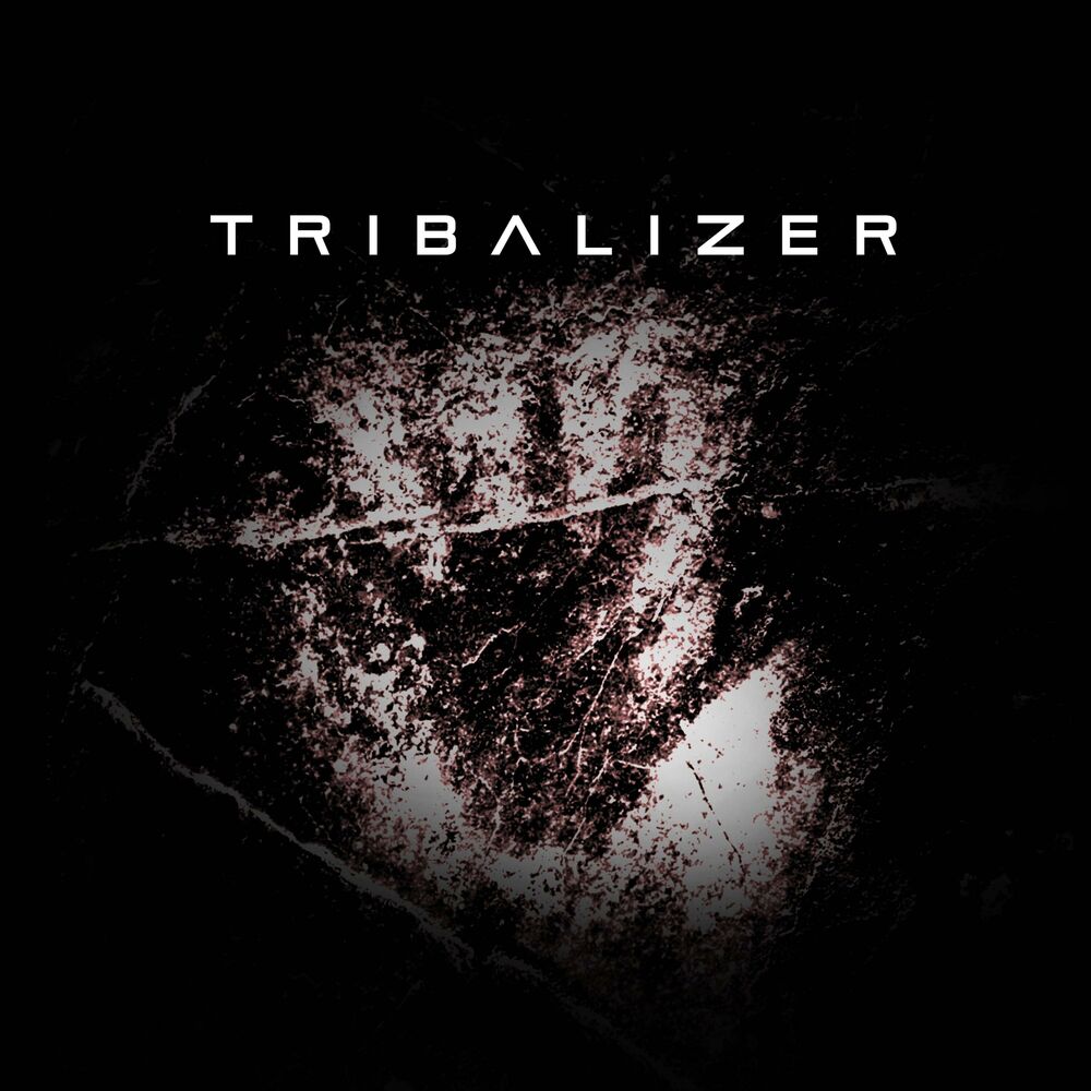 Picture of Tribalizer (feat. Activation)