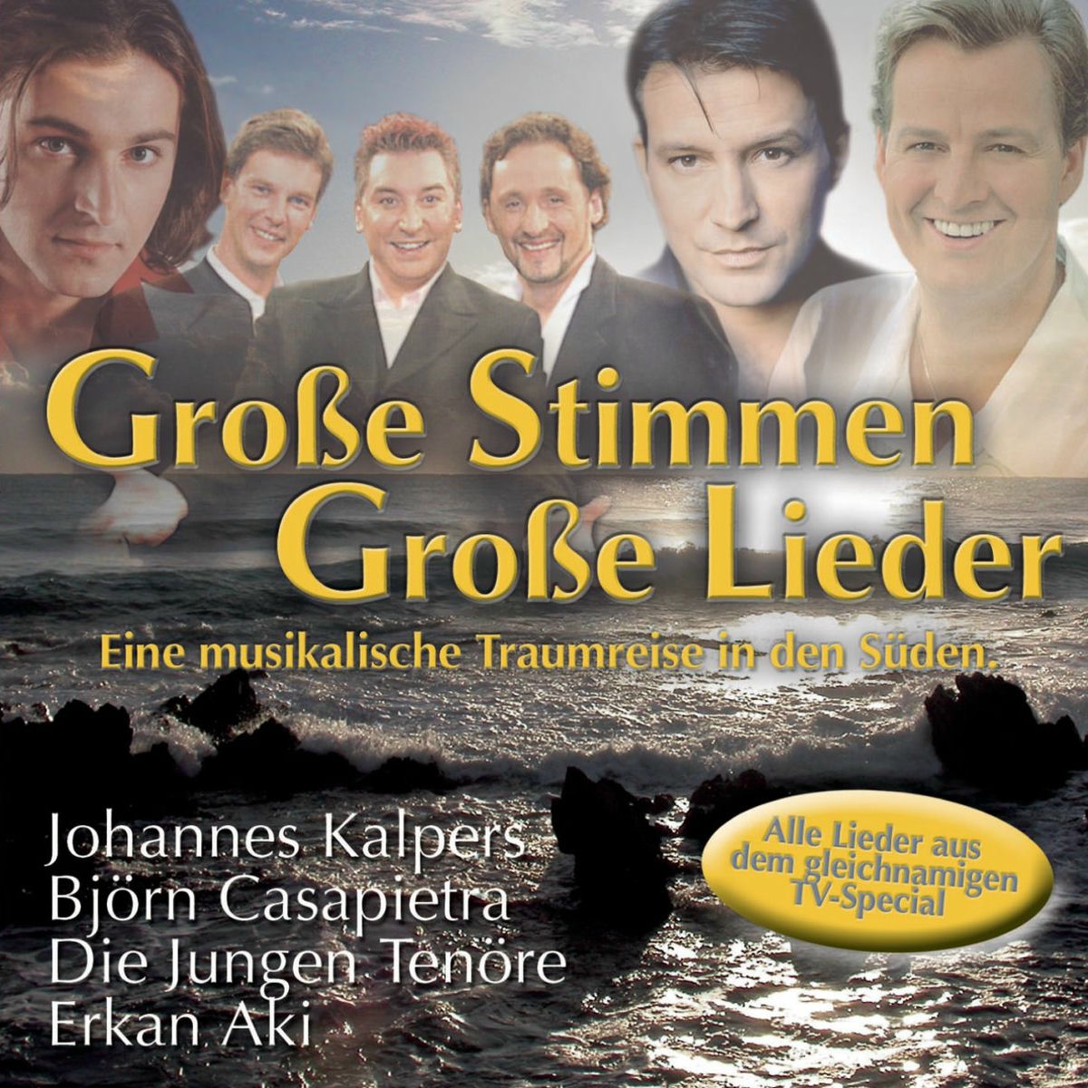 Album cover of Große Stimmen - Große Lieder