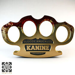 Cover of Bloody Knuckles