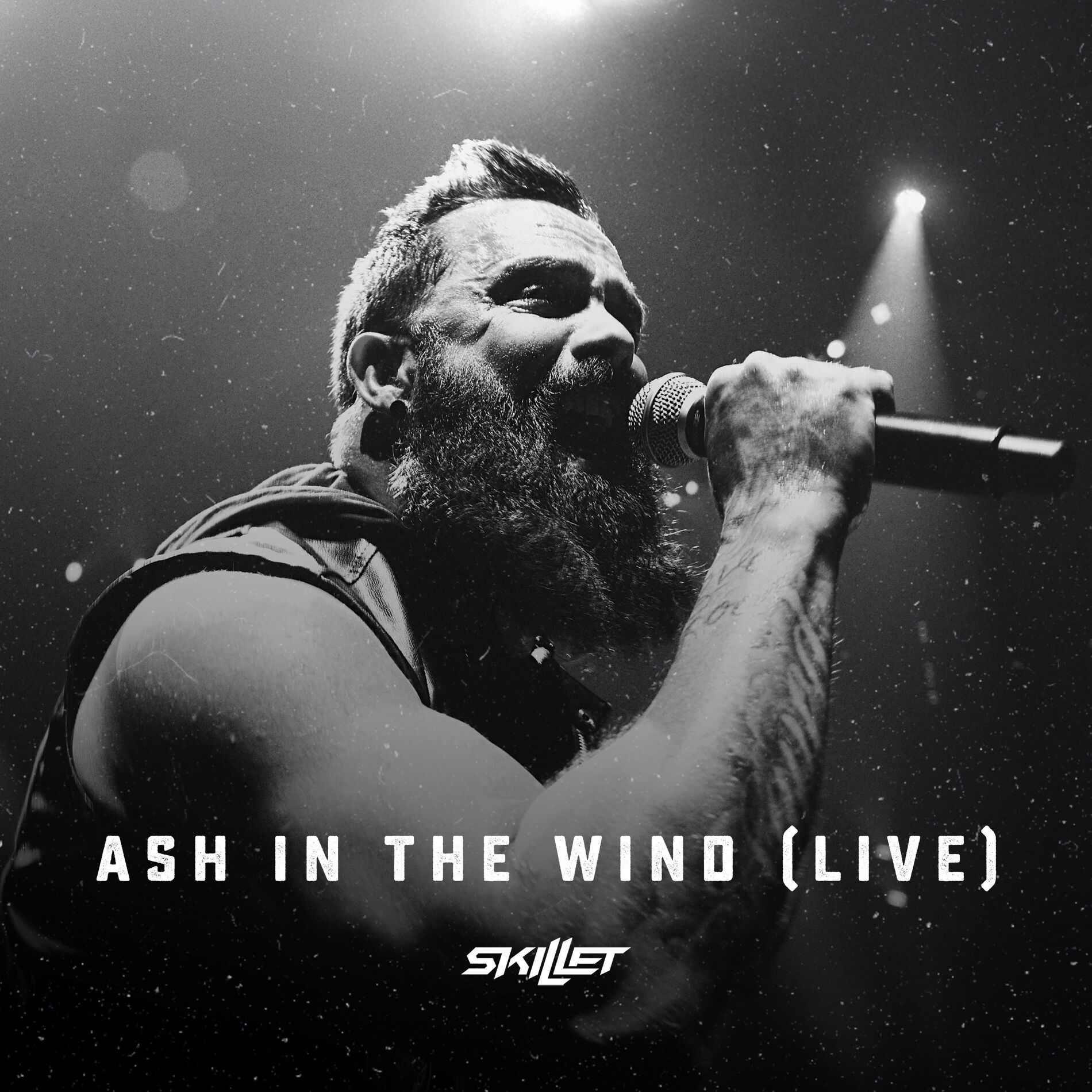 Album cover of Ash In The Wind (Live)